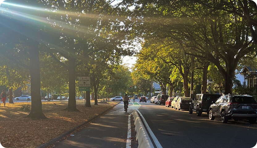A cyclist rides in a protected bike lane along a tree-lined street in the late afternoon, with sunlight streaming through the leaves. Parked cars line the right side, and a few people walk in the shaded park on the left.