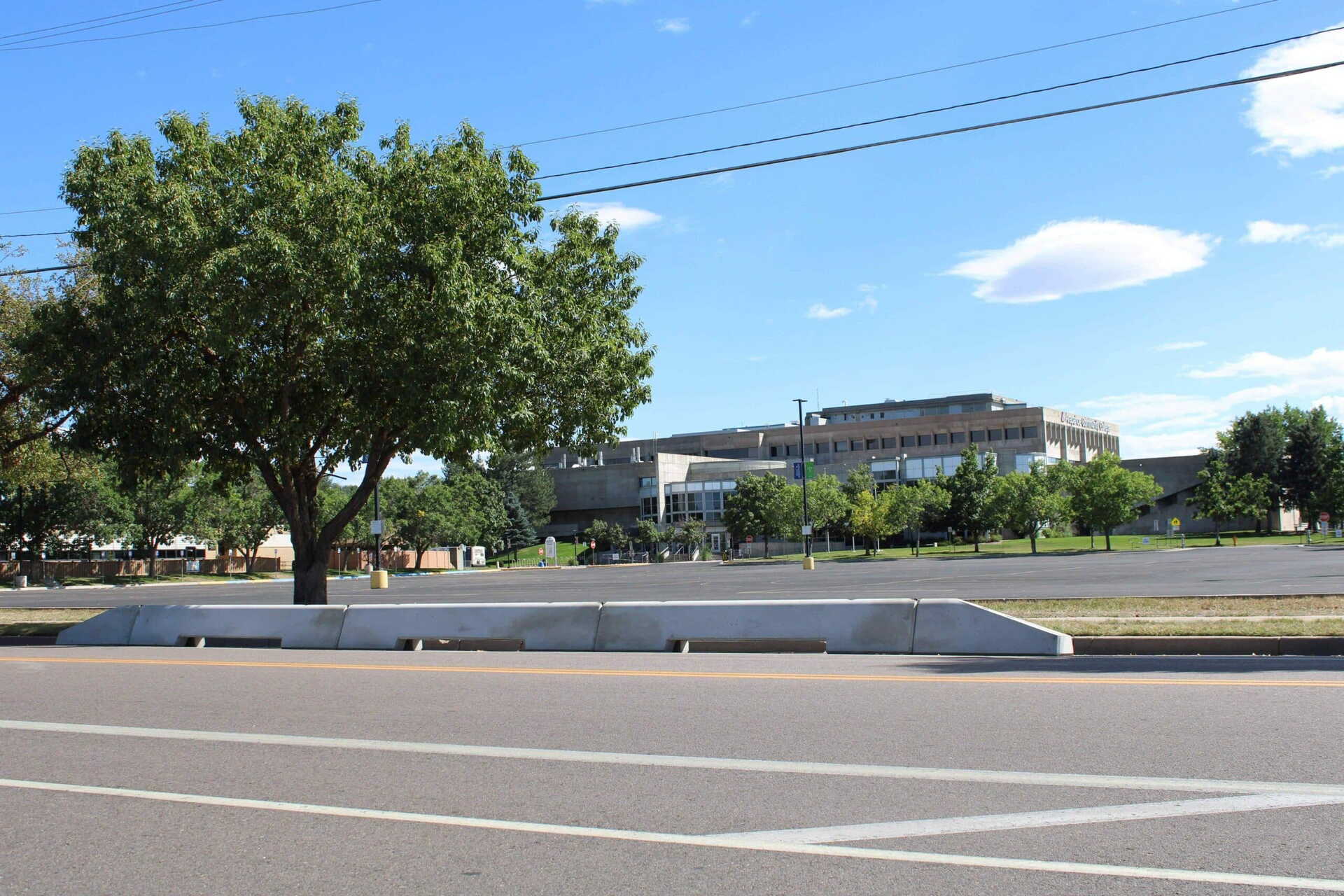 A large tree stands by an empty parking lot in front of a multi-story building on a clear, sunny day. There are a few scattered clouds in the blue sky and power lines run across the scene.
