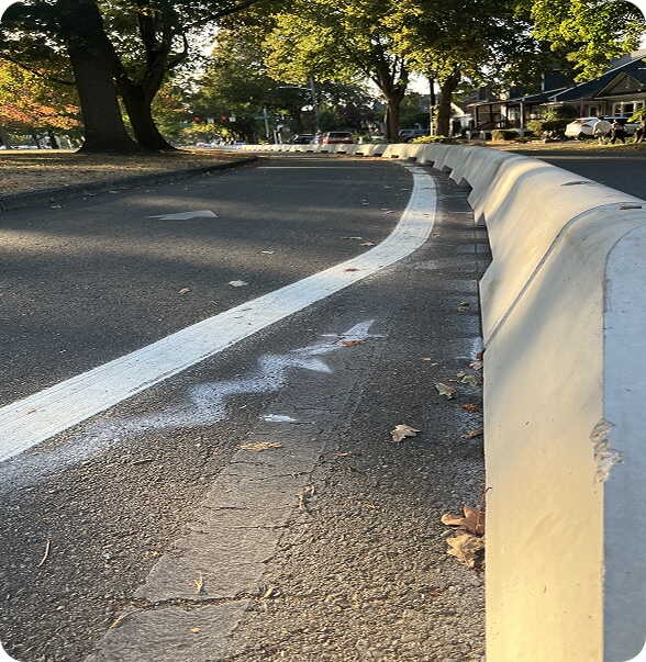 A low concrete barrier runs alongside a curved road with a white painted line. Trees with green leaves and some houses are visible in the background, with sunlight breaking through the branches.
