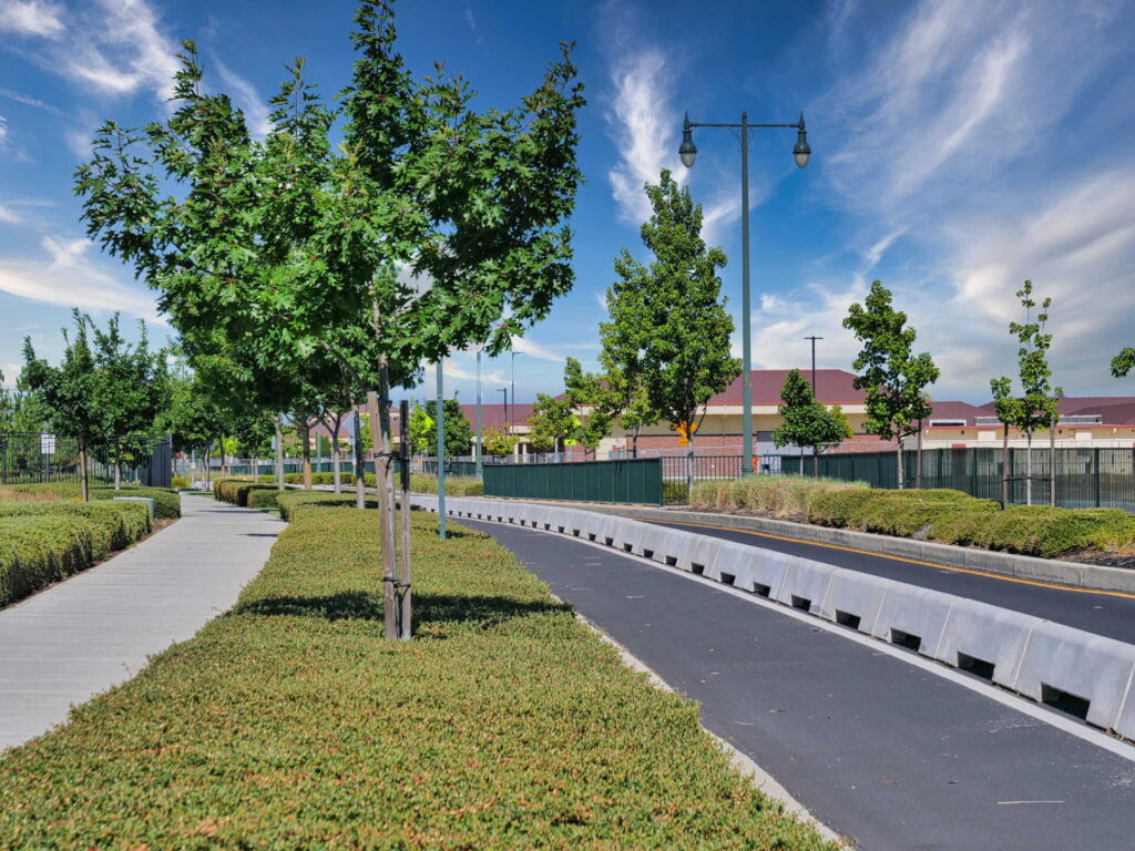 A tree-lined sidewalk runs beside a separated bike lane and green shrubs under a blue sky with wispy clouds; buildings and streetlights are visible in the background.